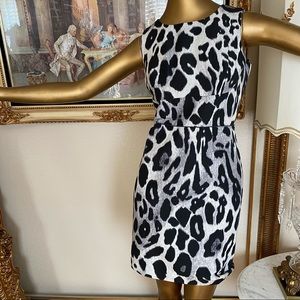 Ann Taylor Animal Print Dress